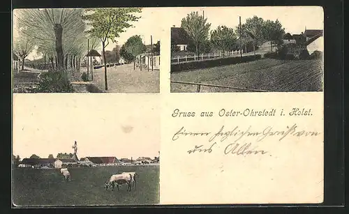 AK Oster-Ohrstedt /Holst., Panorama mit Windmühle, Ortspartie, Strassenpartie