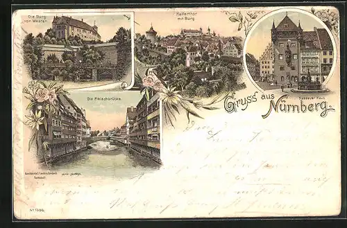 Lithographie Nürnberg, Die Burg von Westen, Hallertor mit Burg, Nassauer Haus mit Brunnen