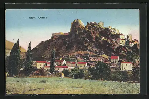 AK Corte, Vue Générale