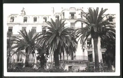 AK Cannes, Palmen vor einem Hotel
