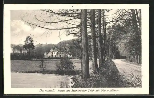 AK Darmstadt, Partie am Steinbrücker Teich mit dem Oberwaldhaus