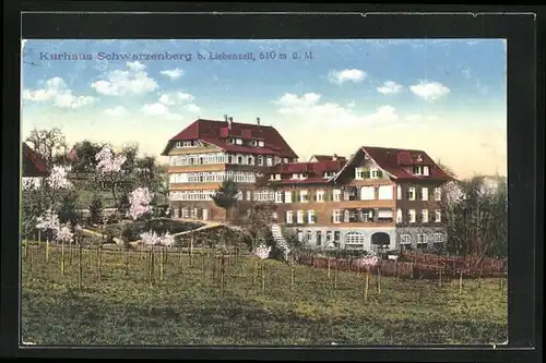 AK Bad Liebenzell, am Kurhaus Schwarzenberg
