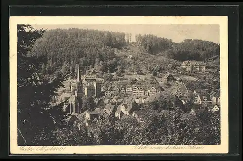 AK Calw, Blick vom hohen Felsen