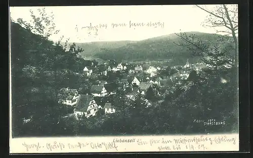 AK Liebenzell, Generalansicht vom Wald aus