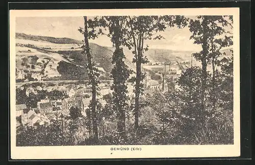 AK Gemünd i. Eifel, Blick vom Wald auf die Stadt