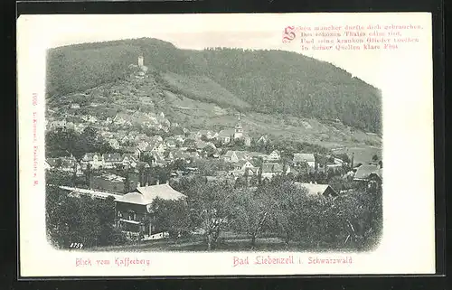 AK Bad Liebenzell i. Schwarzwald, Blick vom Kaffeeberg