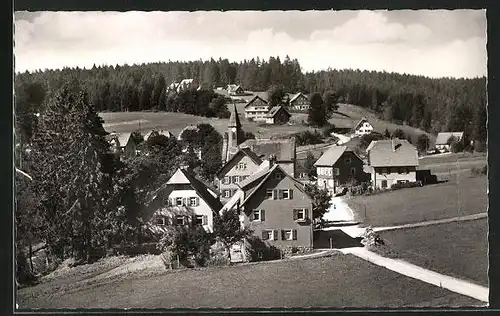 AK Kniebis a.d. Schwarzwaldhochstrasse, Ortstotale