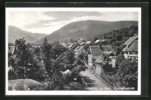 AK Ilsenburg /Harz, Blick in die Buchbergstrasse