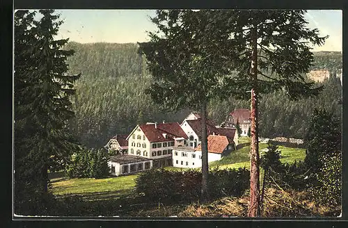 AK Ruhestein / Schwarzw., Blick zum Gasthof