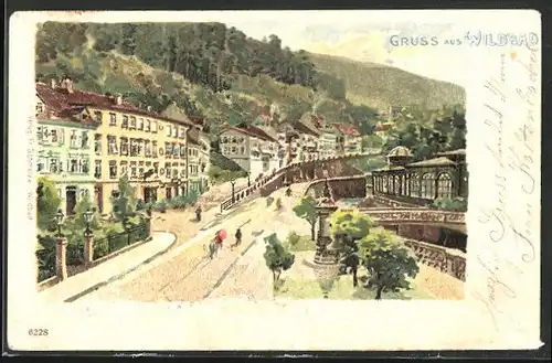 Lithographie Wildbad, Gesamtansicht