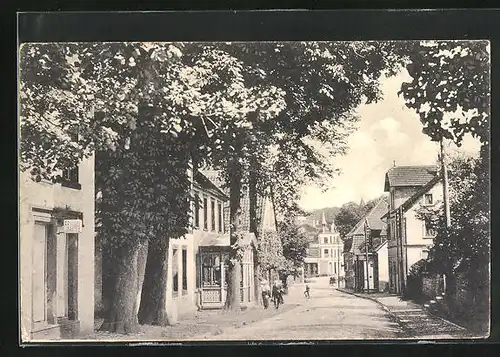 AK Oerlinghausen / Teutoburger Wald, Hauptstrasse