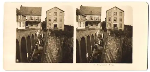 Stereo-Fotografie NPG, Ansicht Helgoland, Grosse Treppe an der Villa Elisabeth und Villa Friedrichs