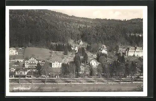 AK Bad Liebenzell, Ortspartie aus der Vogelschau