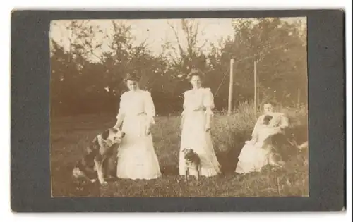 Fotografie unbekannter Fotograf und Ort, drei Damen in hellen Kleidern mit Ihren Hunden beim Training