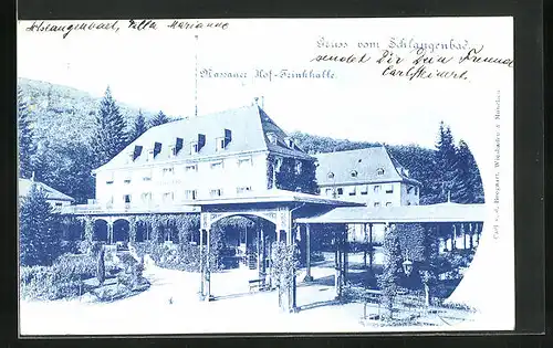 AK Schlangenbad, Hotel Nassauer Hof und Trinkhalle