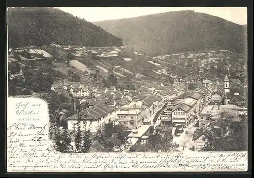 AK Wildbad, Ortsansicht von Süden