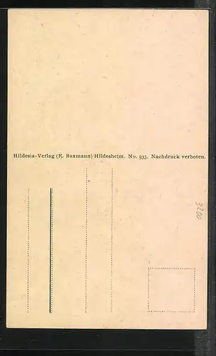 AK Hildesheim, Zuckerhut, Eckem-Strasse, 1000 jähriger Rosenstock