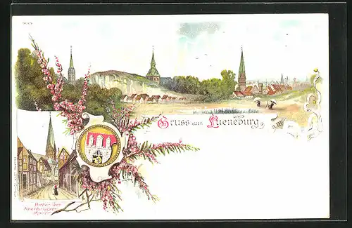 Lithographie Lüneburg, Teilansicht mit Kriche, Hinter der Altenbrücker Mauer