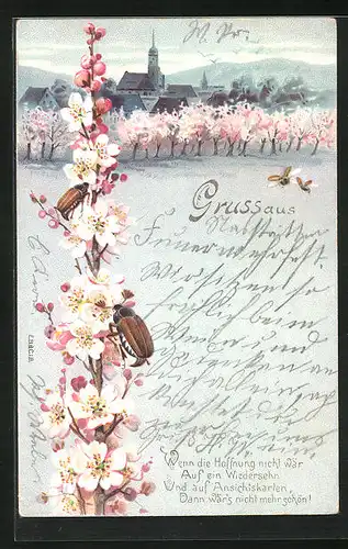 AK Landschaft und zwei Maikäfer auf blühendem Zweig