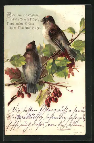 AK Zwei Vögel sitzen auf einem Zweig