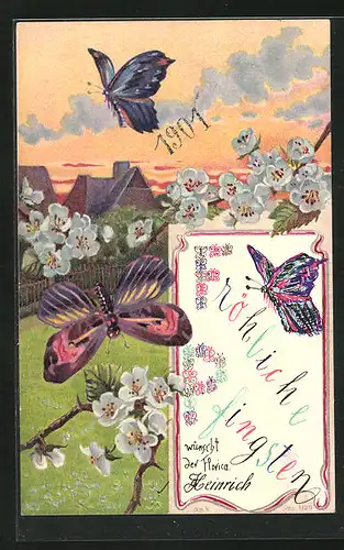 AK Schmetterling an blühenden Zweigen, Pfingstgruss