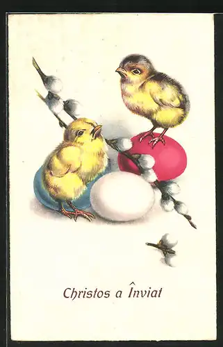 Künstler-AK Osterküken mit Ostereiern und Weidenkätzchen
