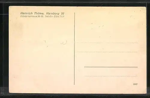 AK Hamburg, Ausstellung 1925, Geschäft Heinrich Thüme, Lübecker Teewurst