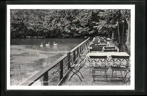 AK Dobrock, Gasthof Waldschlösschen, Terrasse mit Wasser und Schwänen