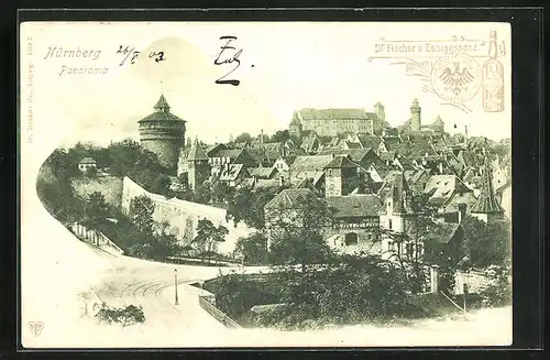 AK Nürnberg, Panorama mit Burg und Stadtmauer