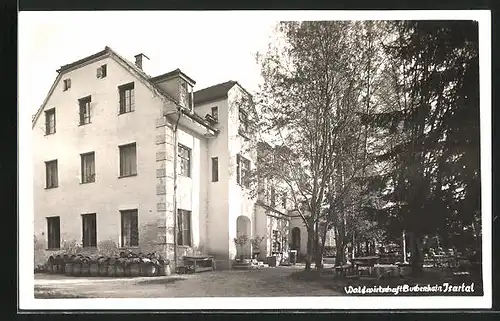 AK Baierbrunn / Isartal, Partie an der Waldgaststätte Buchenhain