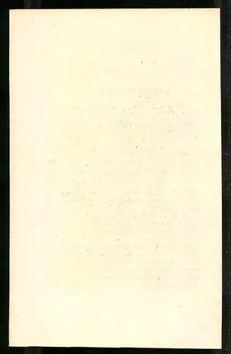 Stahlstich Meleagris gallopavo, altkoloriert, aus Cabinet des Thierreiches v. Sir William Jardine, I. Ornithologie