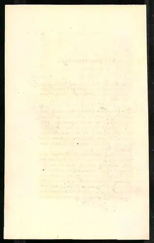 Stahlstich Meleagris ocellata, altkoloriert, aus Cabinet des Thierreiches v. Sir William Jardine, I. Ornithologie