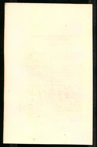 Stahlstich Polyplectron emphanum, altkoloriert, aus Cabinet des Thierreiches v. Sir William Jardine, I. Ornithologie