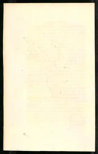 Stahlstich Pavo muticus, altkoloriert, aus Cabinet des Thierreiches v. Sir William Jardine, I. Ornithologie, 11 x 17cm