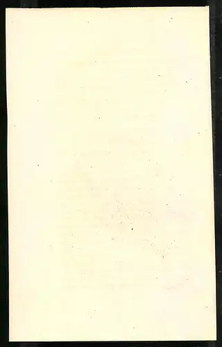 Stahlstich Euplocomus ignitus fem., altkoloriert, aus Cabinet des Thierreiches v. Sir William Jardine, I. Ornithologie