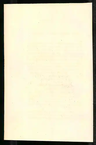 Stahlstich Euplocomus ignitus, altkoloriert, aus Cabinet des Thierreiches v. Sir William Jardine, I. Ornithologie