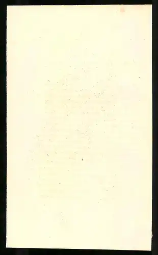 Stahlstich Euplocomus purchrasia, altkoloriert, aus Cabinet des Thierreiches v. Sir William Jardine, I. Ornithologie