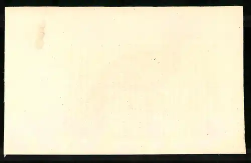 Stahlstich Tragopan hastingii fem., altkoloriert, aus Cabinet des Thierreiches v. Sir William Jardine, I. Ornithologie