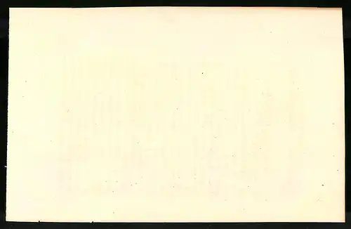 Stahlstich Phasianus soemmerringii, altkoloriert, aus Cabinet des Thierreiches v. Sir William Jardine, I. Ornithologie