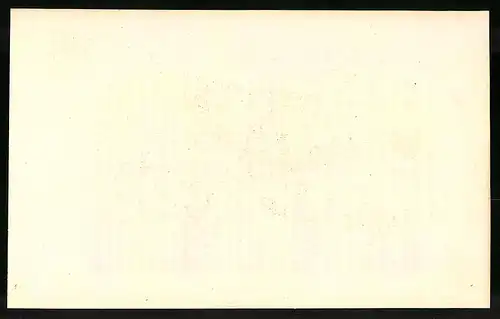 Stahlstich Phasianus nycthemerus, altkoloriert, aus Cabinet des Thierreiches v. Sir William Jardine, I. Ornithologie