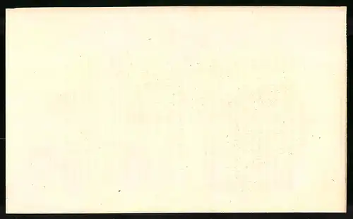Stahlstich Phasianus veneratus, altkoloriert, aus Cabinet des Thierreiches v. Sir William Jardine, I. Ornithologie