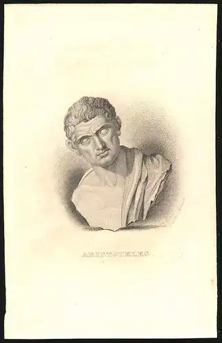 Stahlstich Büste von Aristoteles, altkoloriert, aus Cabinet des Thierreiches v. Sir William Jardine, I. Ornithologie