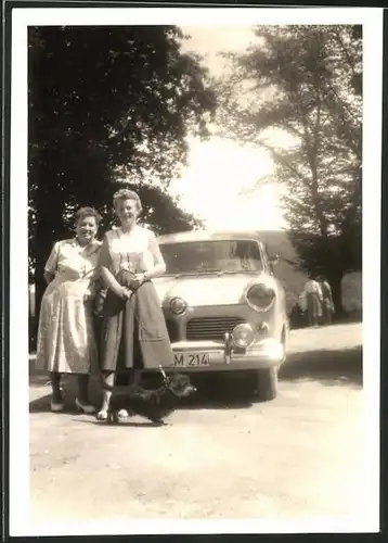 Fotografie Auto Ford Taunus, hübsche Dame mit Rauhhaardackel vor PKW stehend