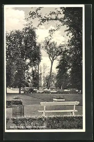 AK Bad Driburg, Motiv im Kurpark