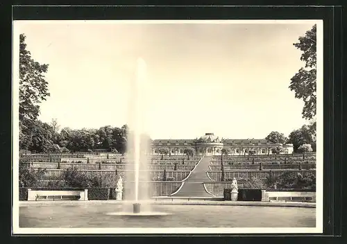 AK Potsdam, Schloss Sanssouci, Die Terrassen