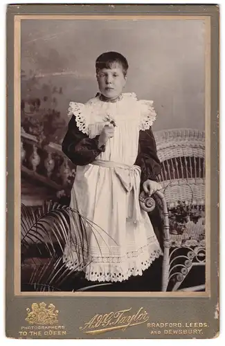 Fotografie A. & G. Taylor, Bradford, Portrait junge Dame im hübschen Kleid