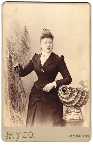 Fotografie H. Yeo, Plymouth, 169, Union Street, Portrait junge Dame in eleganter Kleidung