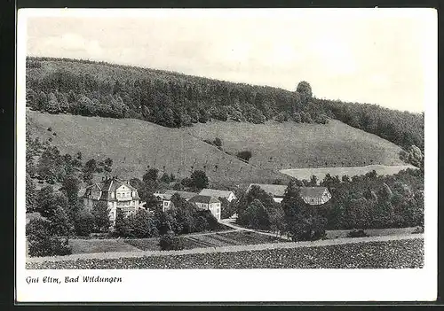 AK Bad Wildungen, Gut Elim aus der Vogelschau