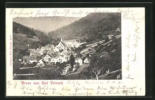 AK Bad Teinach, Totalansicht mit Kirchturm