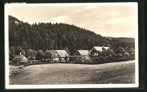 AK Daun / Eifel, Blick zum Ferienhaus Eifel-Heim